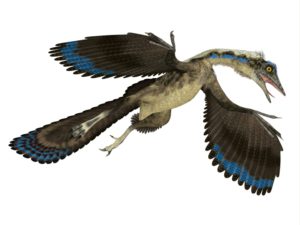 brückentier-Archaeopteryx