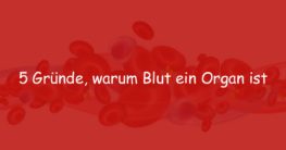 warum-ist-blut-ein-organ