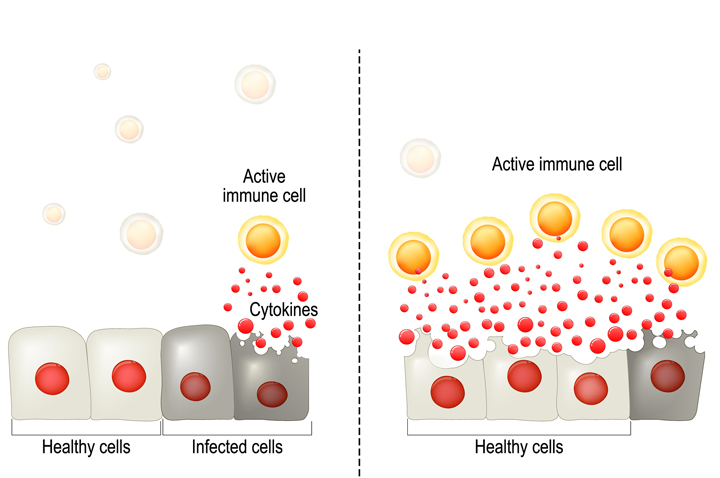 immunsystem cytokine
