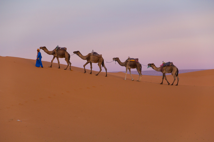 tuareg-wüstenvolk