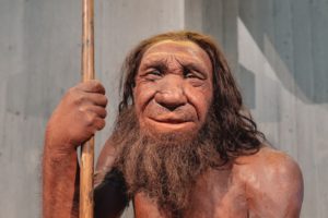 Neandertaler Urgeschichte