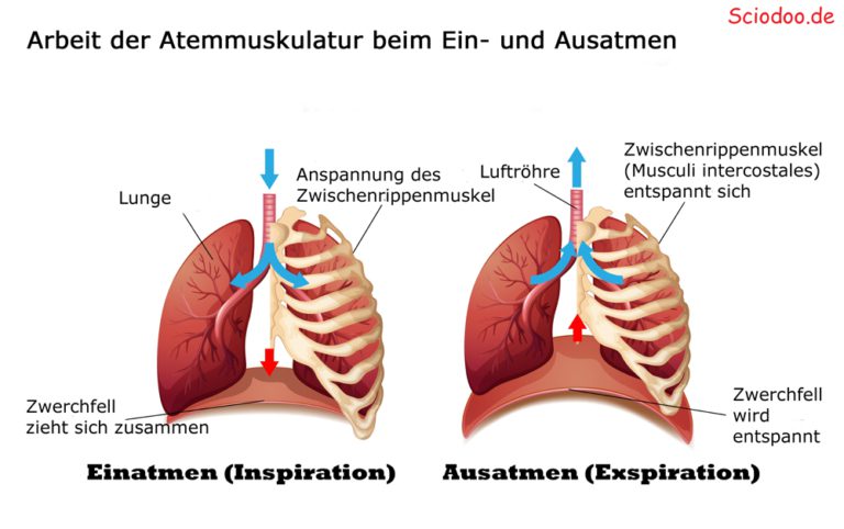 Auf Einfdelungs Und Ausfdelungsstreifen