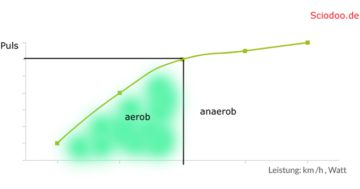 aerob anaerobe schwelle