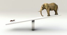 wie viel wiegt ein elefant