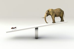wie viel wiegt ein elefant