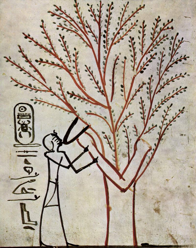 Thutmosis III wird vom Lebensbaum gesäugt 
