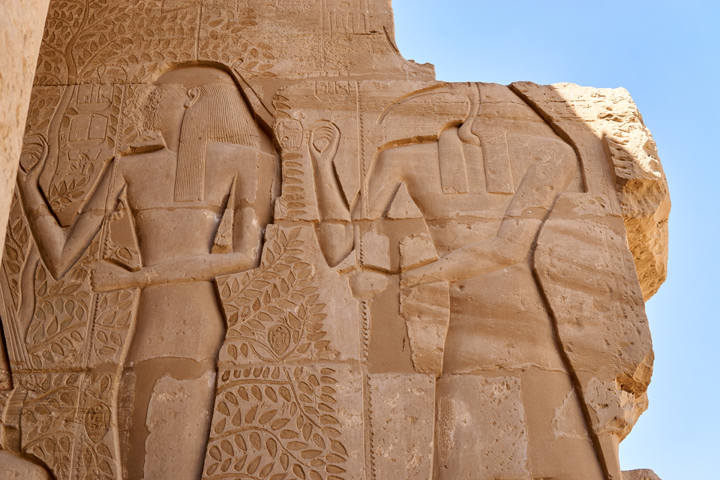 lebensbaum-altes-ägypten