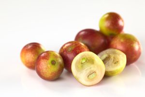 camu camu früchte antioxidans vitamin c
