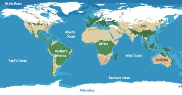 Der Atlantik bzw. der Atlantische Ozean trennt Amerika von Eurasien und Afrika