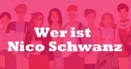 Wer ist Nico Schwanz